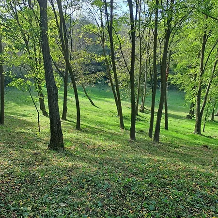 דירה Rozsakert Zalaszentgrót