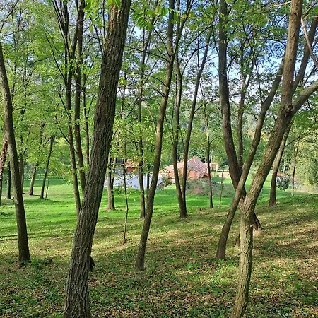 Apartmán Rozsakert