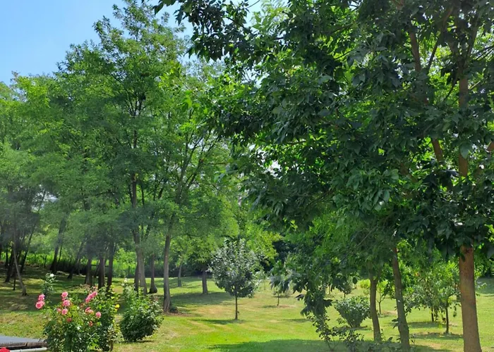 Apartmán Rozsakert *